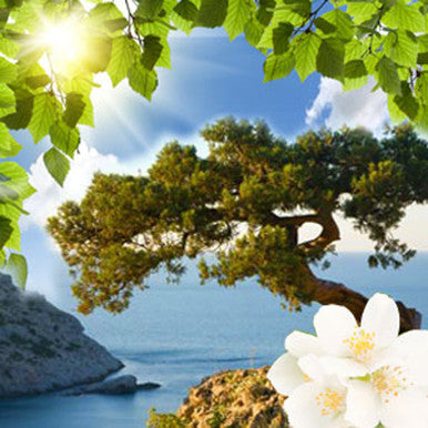 Juniper Fresh Breeze Fragrance Oil fragrance oil bottle