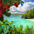 Kulu Bay Fragrance Oil fragrance oil bottle