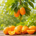 Kumquat Fragrance Oil fragrance oil bottle