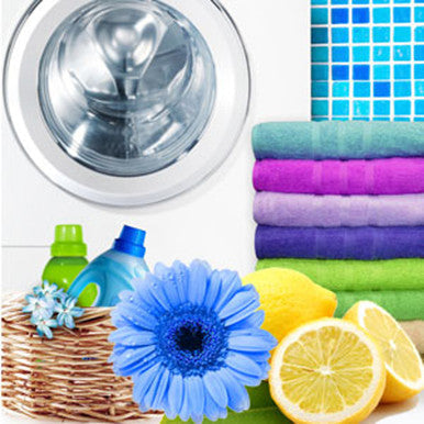 Laundromat Fragrance Oil fragrance oil bottle