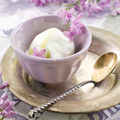 Lavender and Coconut Milk Natural Fragrance Oil fragrance oil bottle