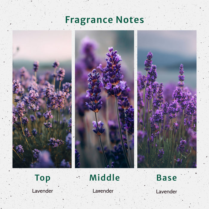 Lavender Flowers Fragrance Oil fragrance oil bottle