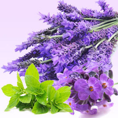 Lavender Mint WOW Fragrance Oil fragrance oil bottle