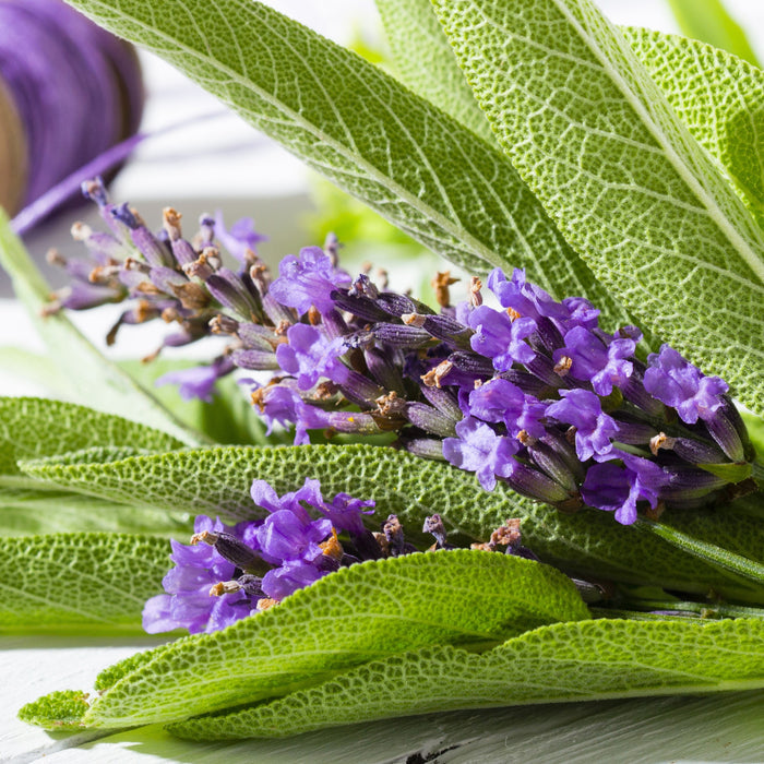 Lavender Sage Fragrance Oil fragrance oil bottle