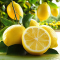 Lemon Fragrance Oil fragrance oil bottle