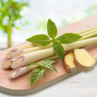 Lemongrass and Ginger Fragrance Oil fragrance oil bottle