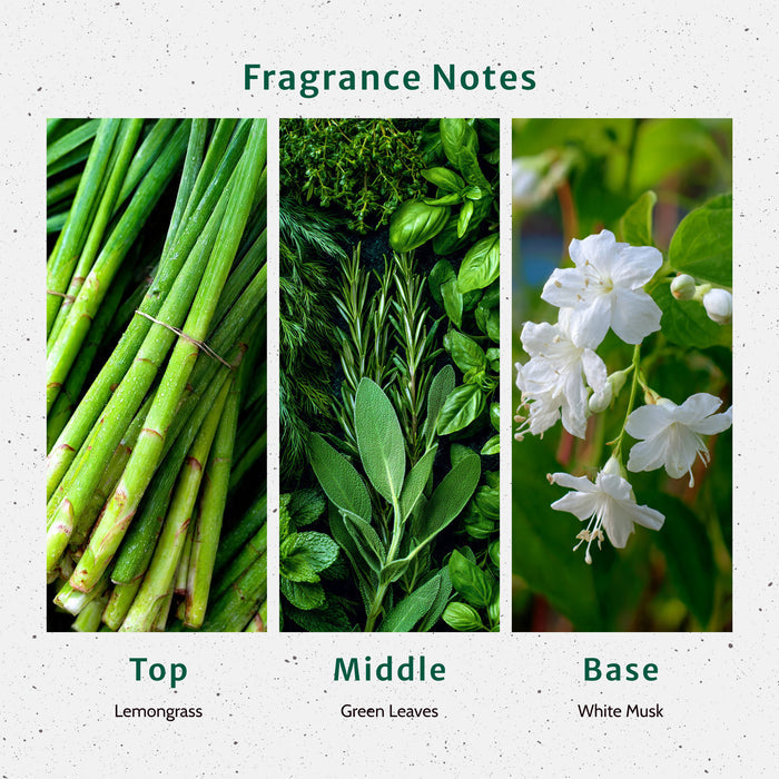 Lemongrass Fragrance Oil lifestyle product image