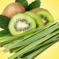 Lemongrass Kiwi Cassis Fragrance Oil fragrance oil bottle
