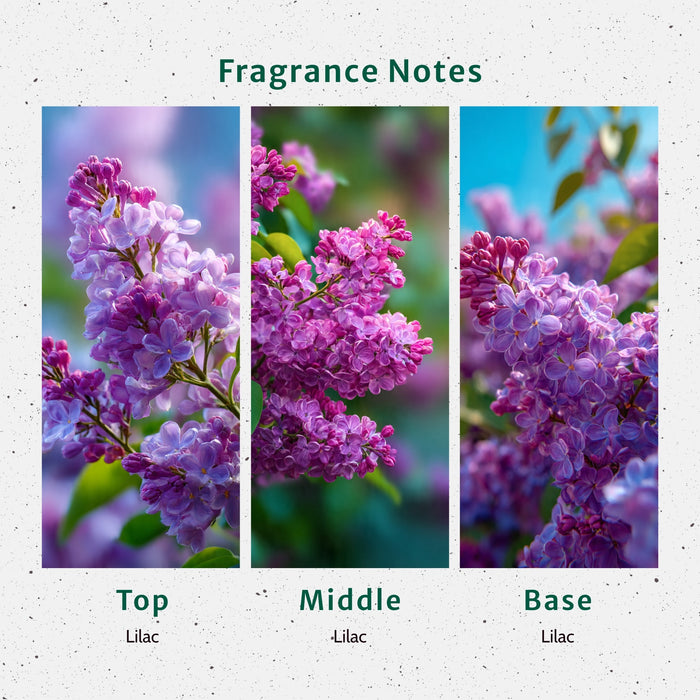 Lilac Fragrance Oil lifestyle product image