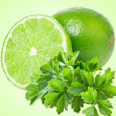 Lime Cilantro Fragrance Oil fragrance oil bottle