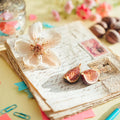 Love Letters Never Sent Fragrance Oil