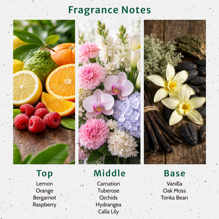 Lunar Eclipse Fragrance Oil lifestyle product image