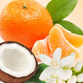 Mandarin Coconut Fragrance Oil fragrance oil bottle