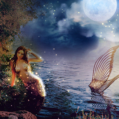 Mermaids at Midnight Fragrance Oil fragrance oil bottle