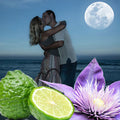 Midnight Romance Fragrance Oil fragrance oil bottle