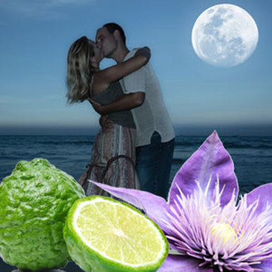 Midnight Romance Fragrance Oil fragrance oil bottle