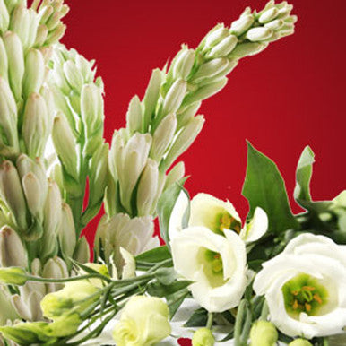 Moonlight Tuberose Fragrance Oil fragrance oil bottle