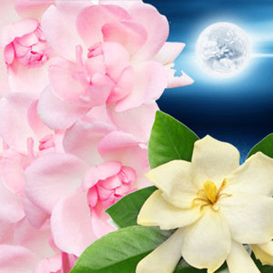 Moonlit Path Fragrance Oil fragrance oil bottle