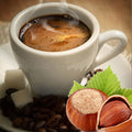 Mountain Hazelnut Cafe Fragrance Oil fragrance oil bottle
