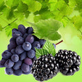 Muscadine Fragrance Oil fragrance oil bottle
