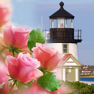 Nantucket Garden Fragrance Oil fragrance oil bottle