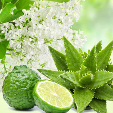 NG Aloe & White Lilac Fragrance Oil fragrance oil bottle
