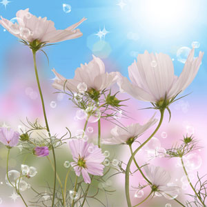 NG April Clean Fragrance Oil fragrance oil bottle