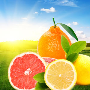 NG Early Sunrise Type Fragrance Oil fragrance oil bottle