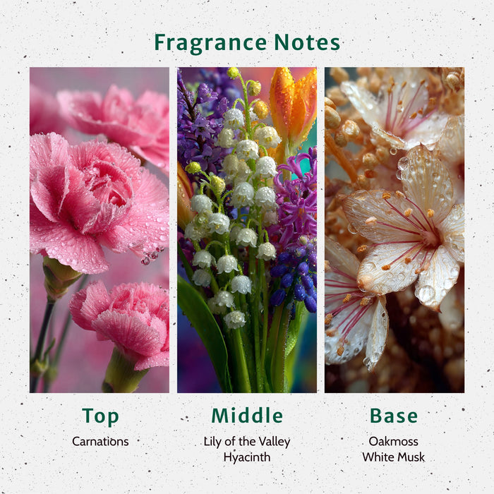 Ocean Mist Fragrance Oil fragrance oil bottle