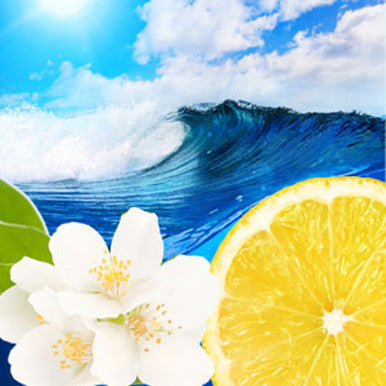 Ocean Waves Fragrance Oil fragrance oil bottle