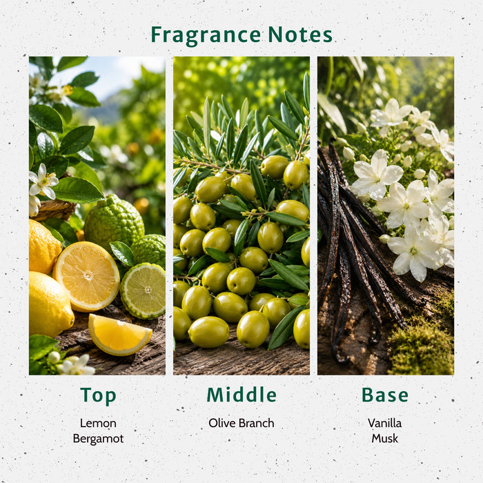 OMG Olive Fragrance Oil