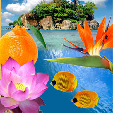 Paradise Reef Fragrance Oil fragrance oil bottle