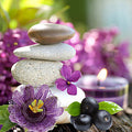 Passionflower & Acai Berry Fragrance Oil fragrance oil bottle