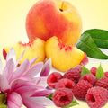 Peach Magnolia Raspberry Fragrance Oil fragrance oil bottle