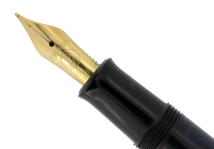 PELIKAN M200 BLUE MARBLED FOUNTAIN PEN SERVICED & READY TO WRITE OFFERED BY ANTIQUE DIGGER