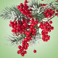 Pepperberry Wreath Fragrance Oil fragrance oil bottle