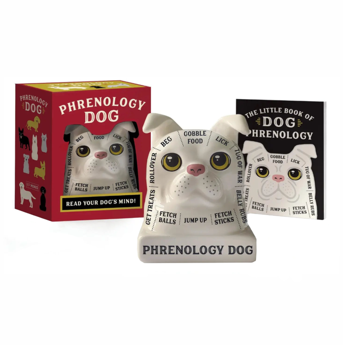 Phrenology Dog