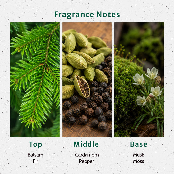 Pine Forest Fragrance Oil lifestyle product image