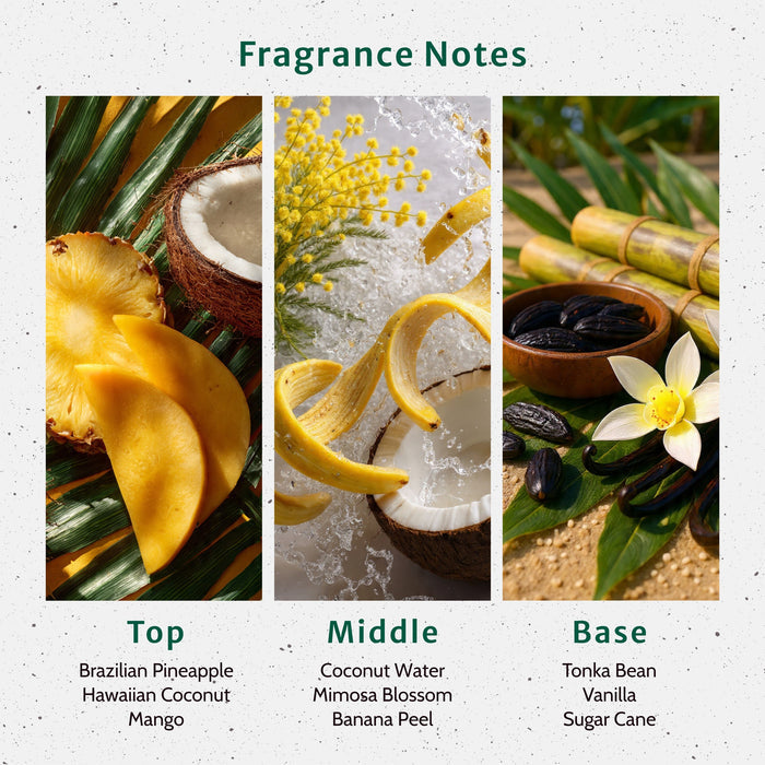 Pineapple and Coconut Water Fragrance Oil lifestyle product image