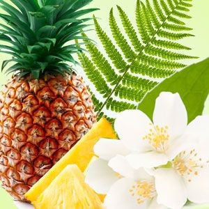 Pineapple Jasmine Fragrance Oil fragrance oil bottle