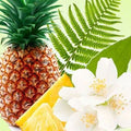 Pineapple Jasmine Fragrance Oil fragrance oil bottle