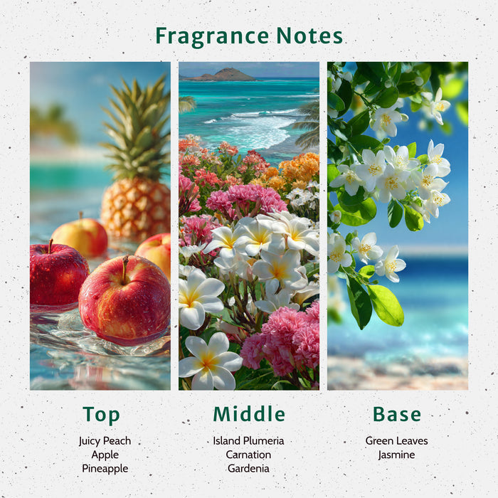 Plumeria Fragrance Oil lifestyle product image