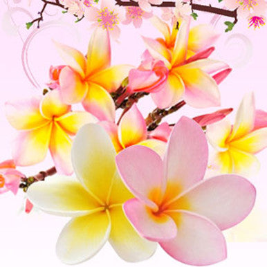 Puakenikeni Hawaiian Flower Fragrance Oil fragrance oil bottle