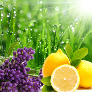 Rain Barrel Fragrance Oil fragrance oil bottle