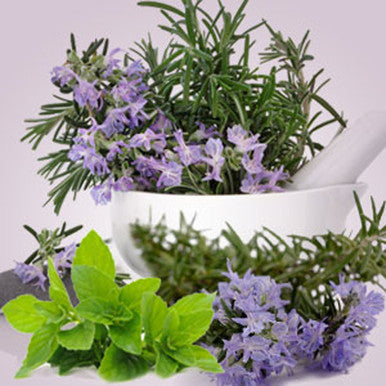 Rosemary Mint Type Fragrance Oil fragrance oil bottle