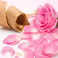 Rosewood & Musk Fragrance Oil fragrance oil bottle