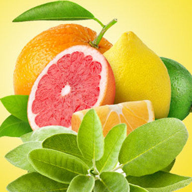 Sage and Citrus Fragrance Oil fragrance oil bottle