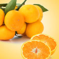 Satsuma Fragrance Oil fragrance oil bottle