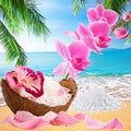 Sea Salt and Orchid Fragrance Oil fragrance oil bottle