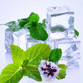 Spearmint Fragrance Oil fragrance oil bottle